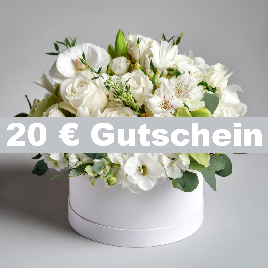 20€ Gutschein