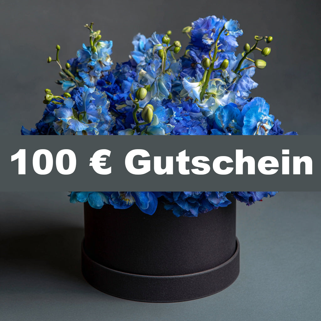 100€ Gutschein