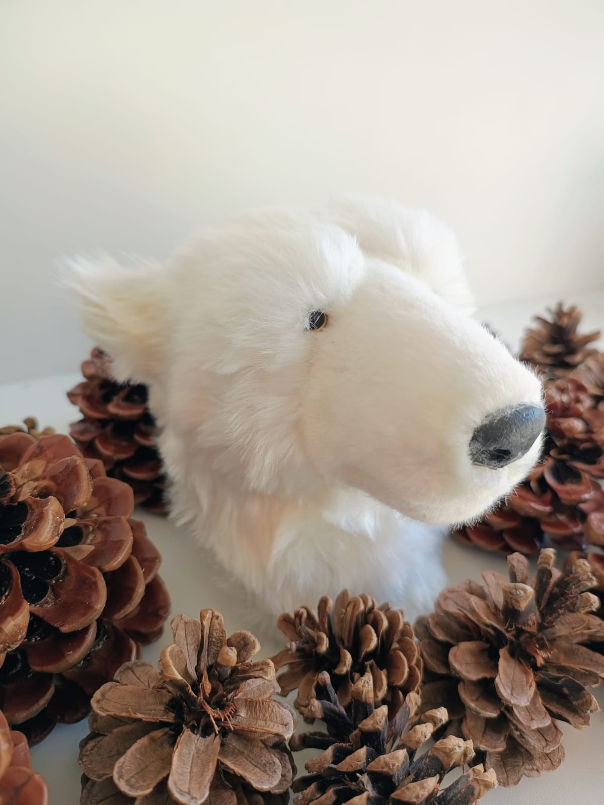 Eisbärenkopf - nordisches Highlight für Ihr Zuhause