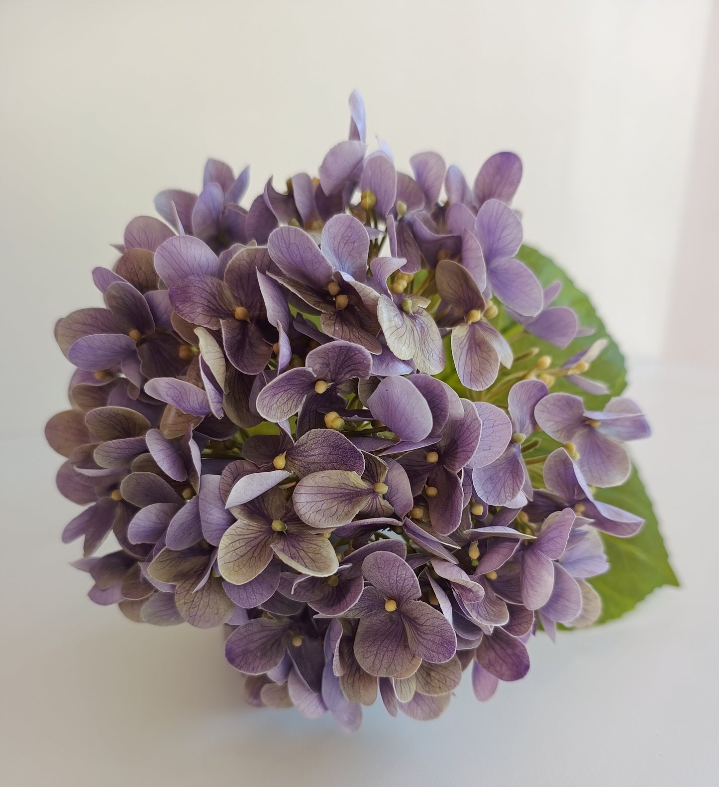 Hortensien Seidenblumen