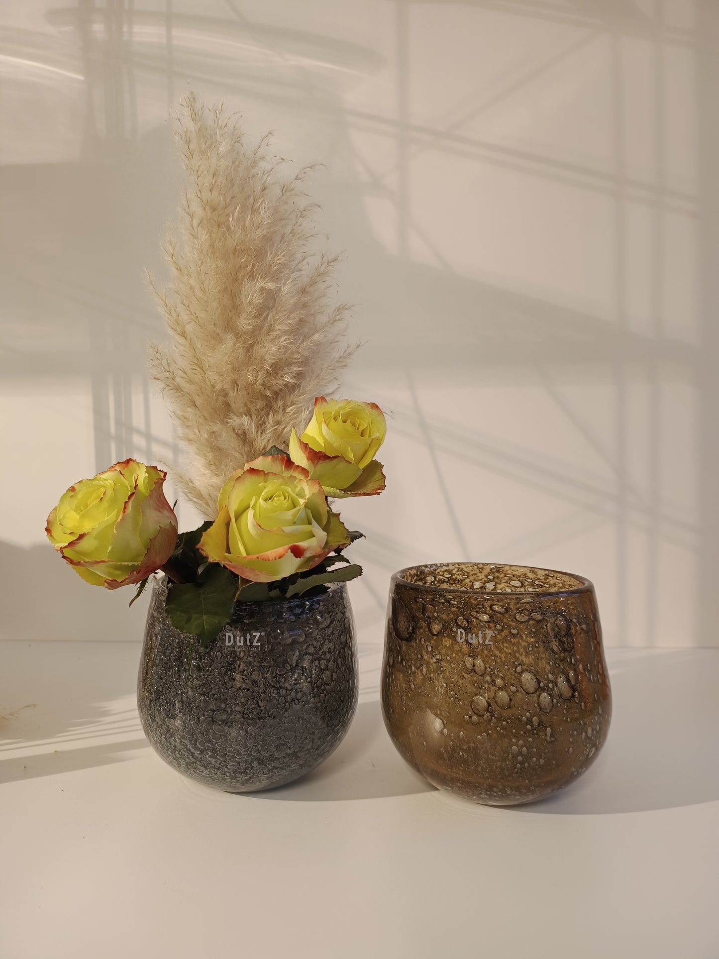 DutZ Hurricane Diva Olivegrey und Amber Bub