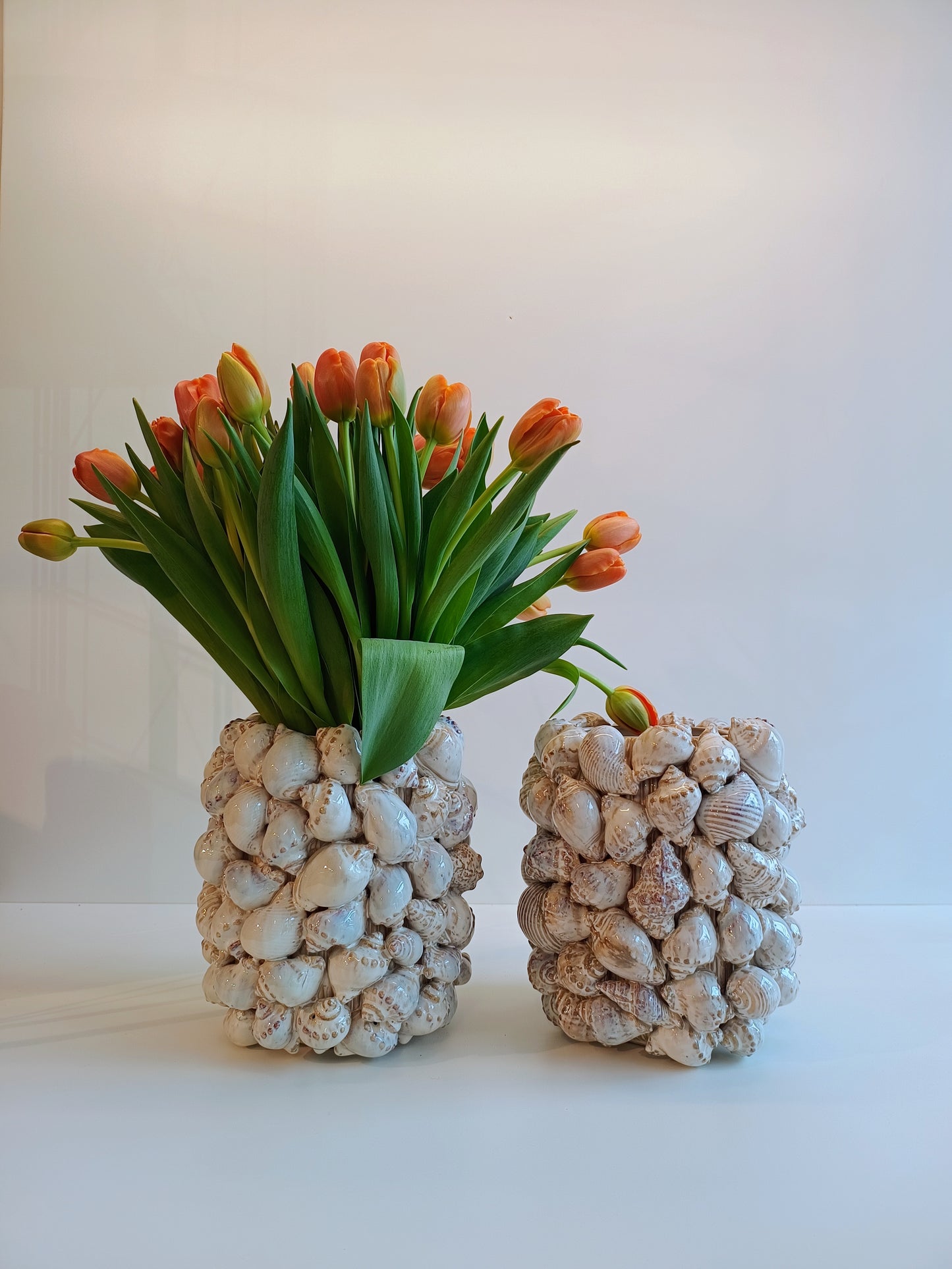 Vase Muscheln