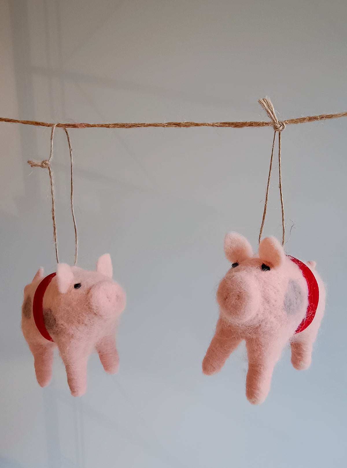 Kleines Schweinchen - großes Glück
