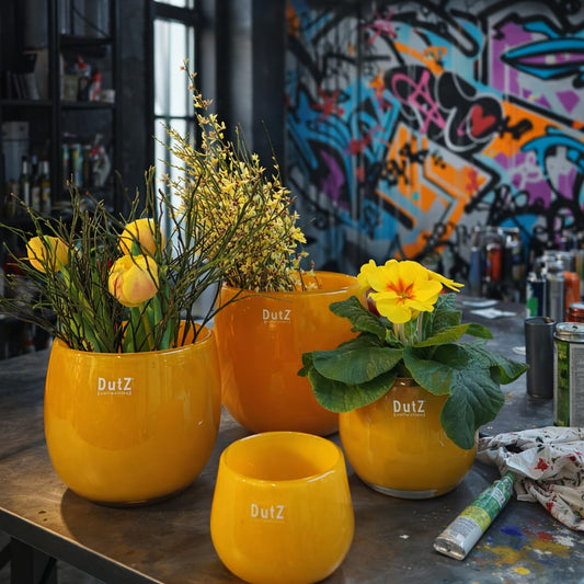DutZ Pot