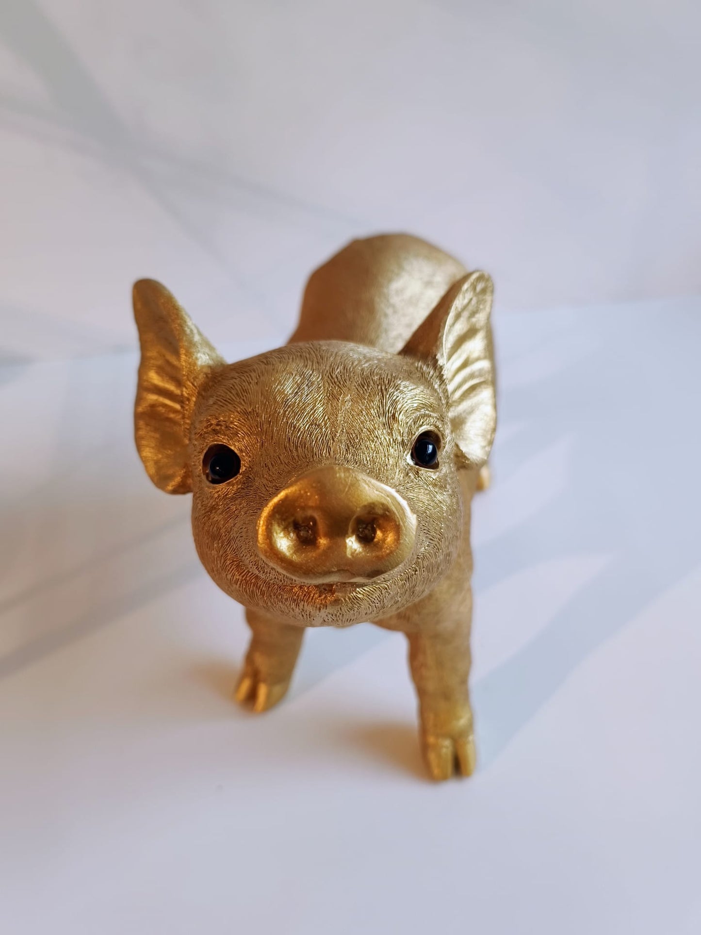 Deko-Schwein Golden Glory