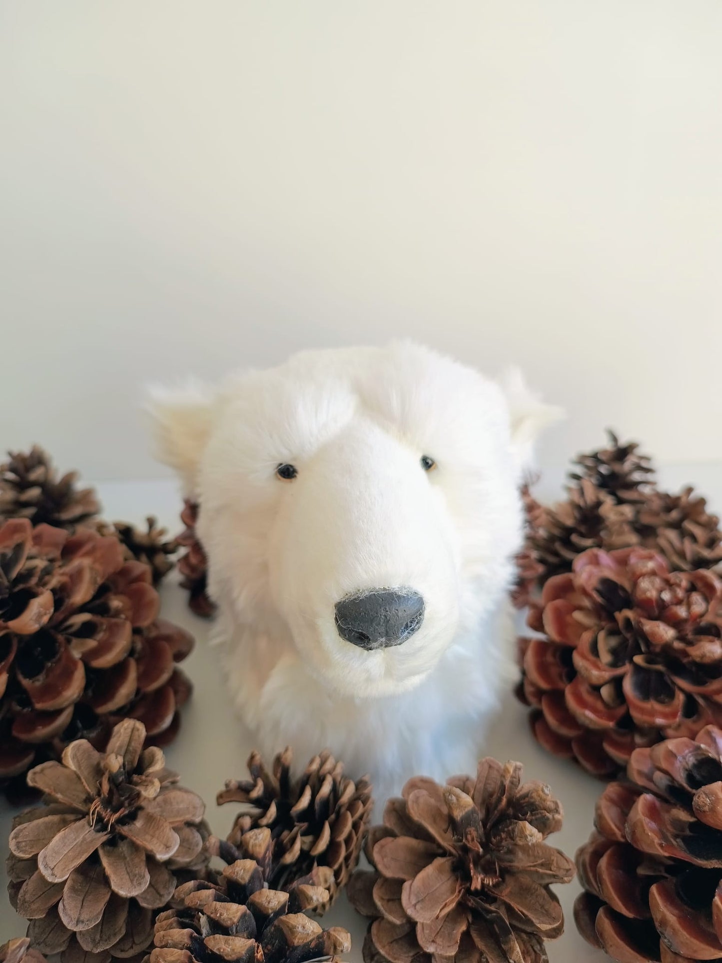 Eisbärenkopf - nordisches Highlight für Ihr Zuhause