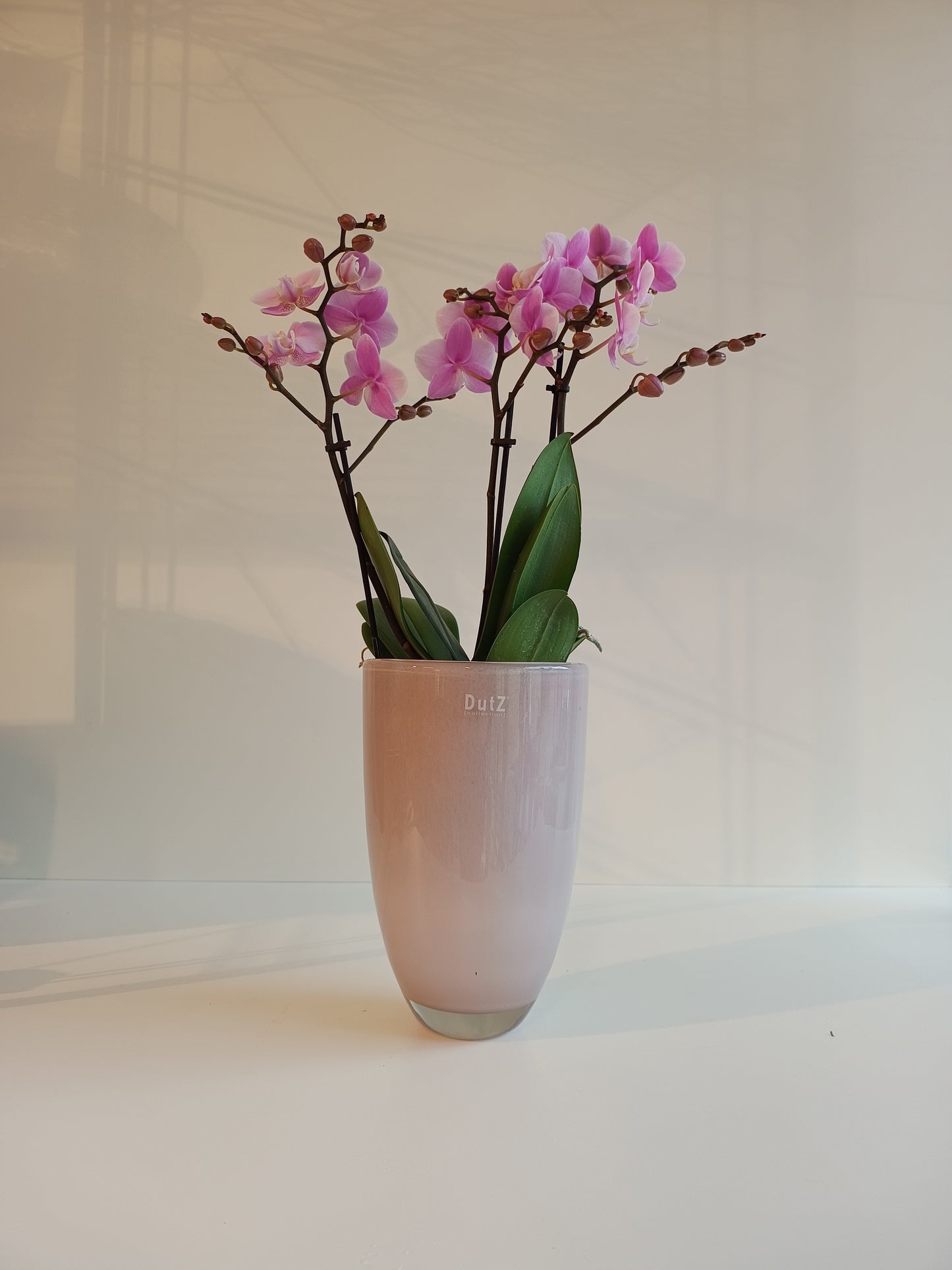 DutZ Flowervase