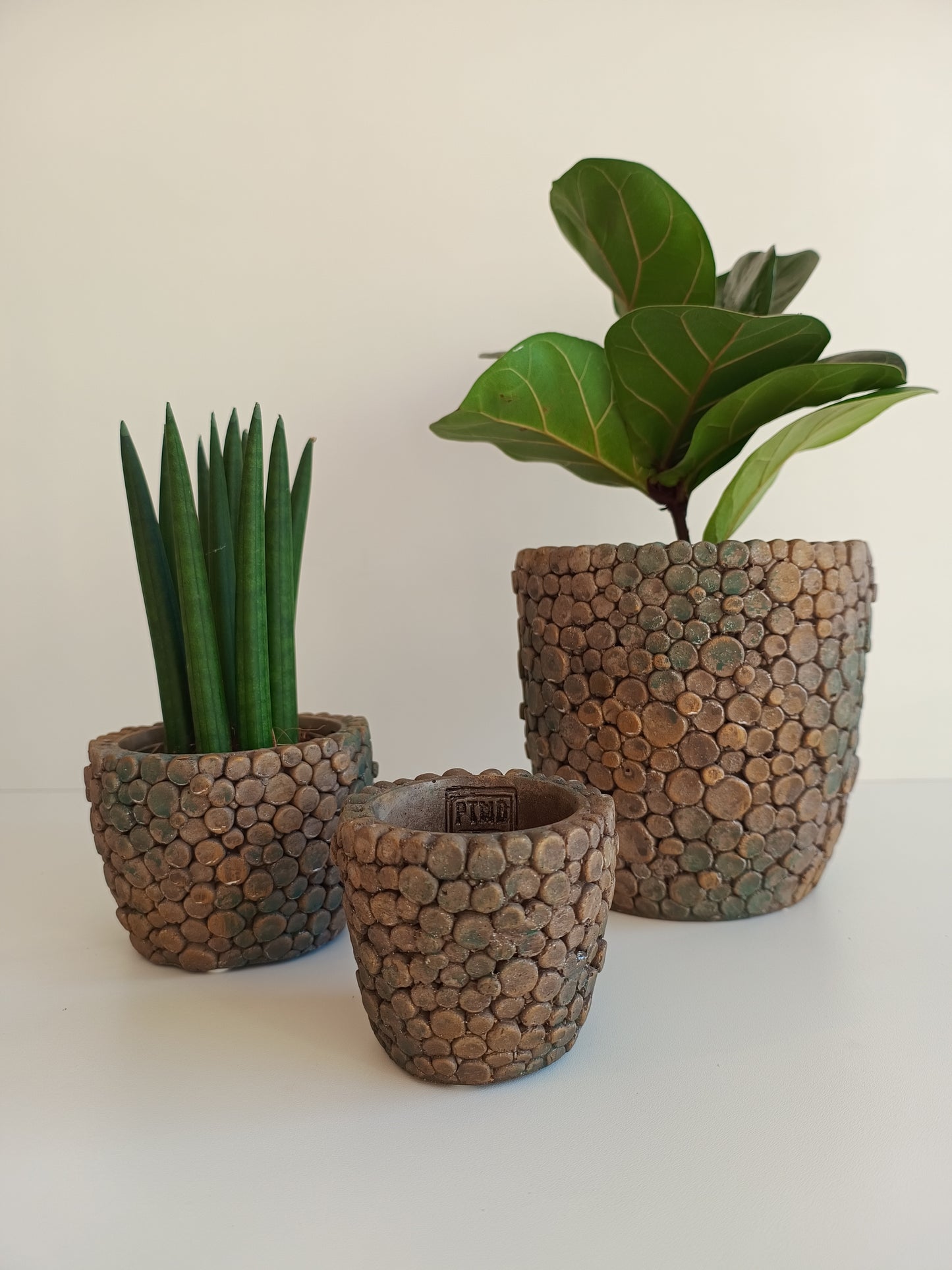 Übertöpfe "Jannicke Black Zement" von PTMD