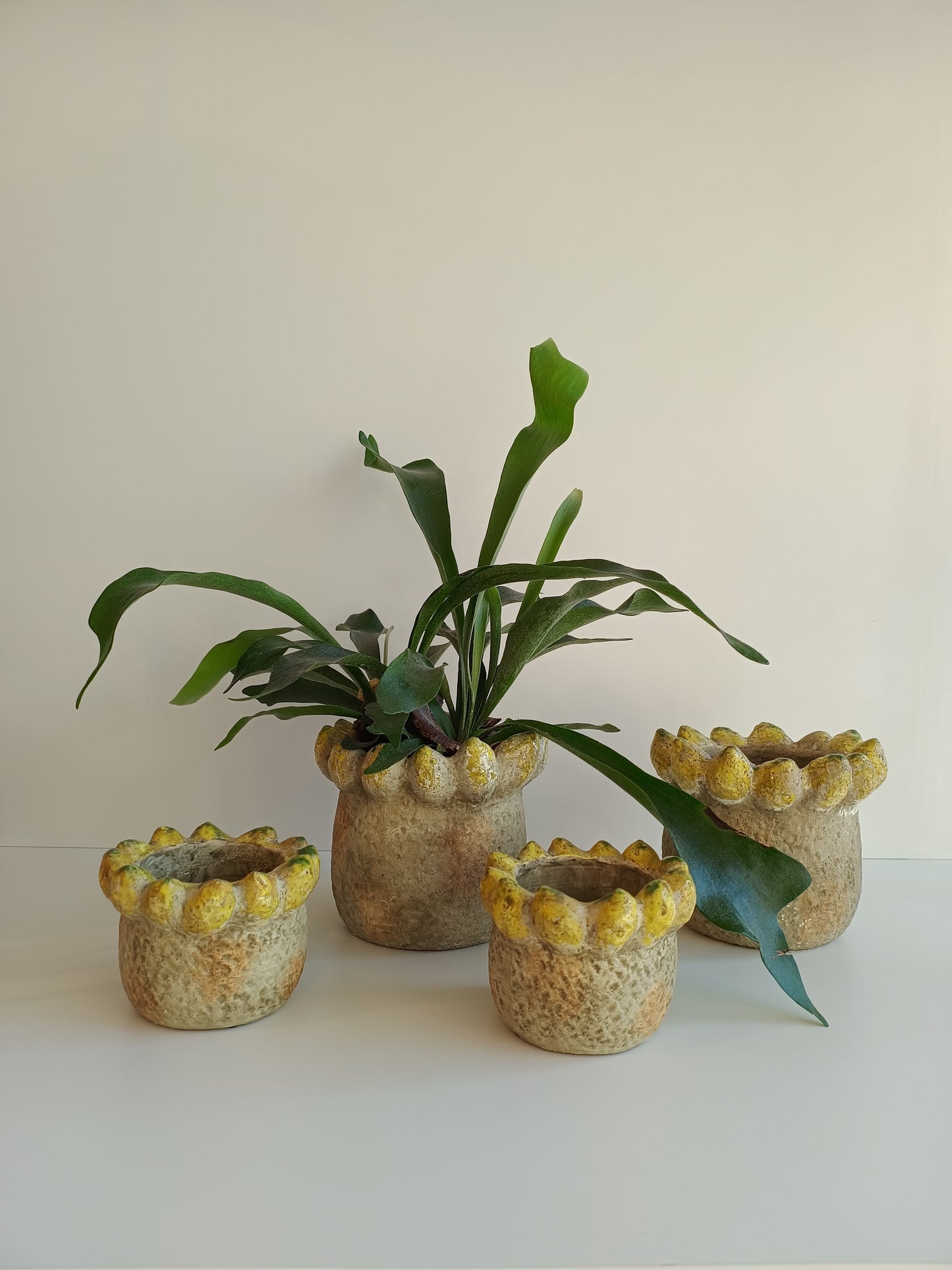 Übertopf Fruitsy Yellow von PTMD