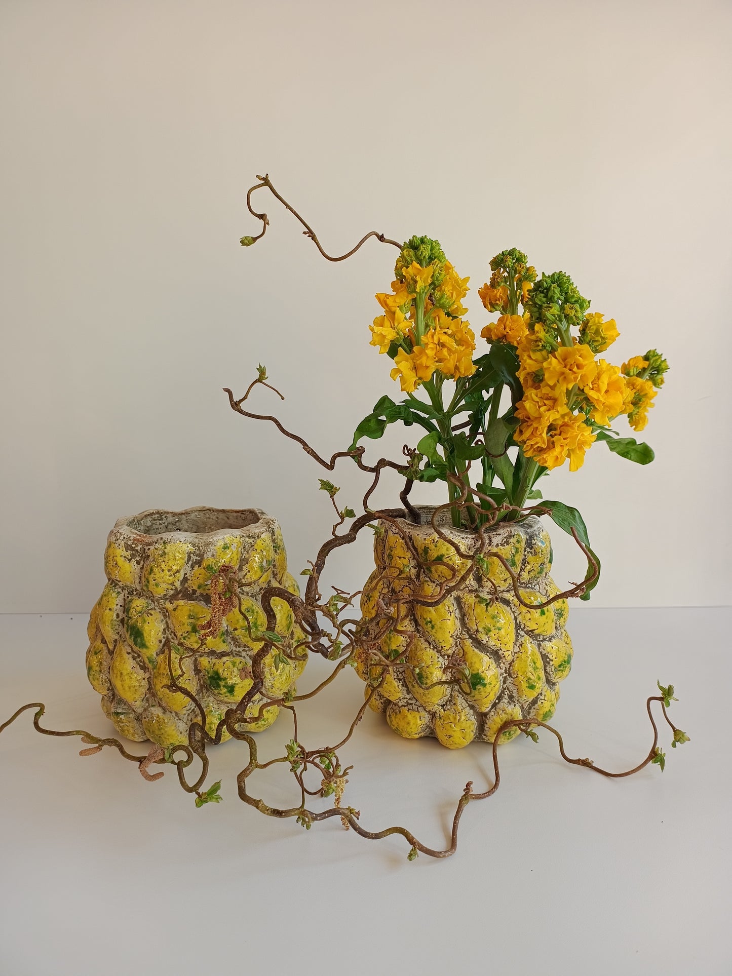 Übertopf Fruitsy Yellow von PTMD