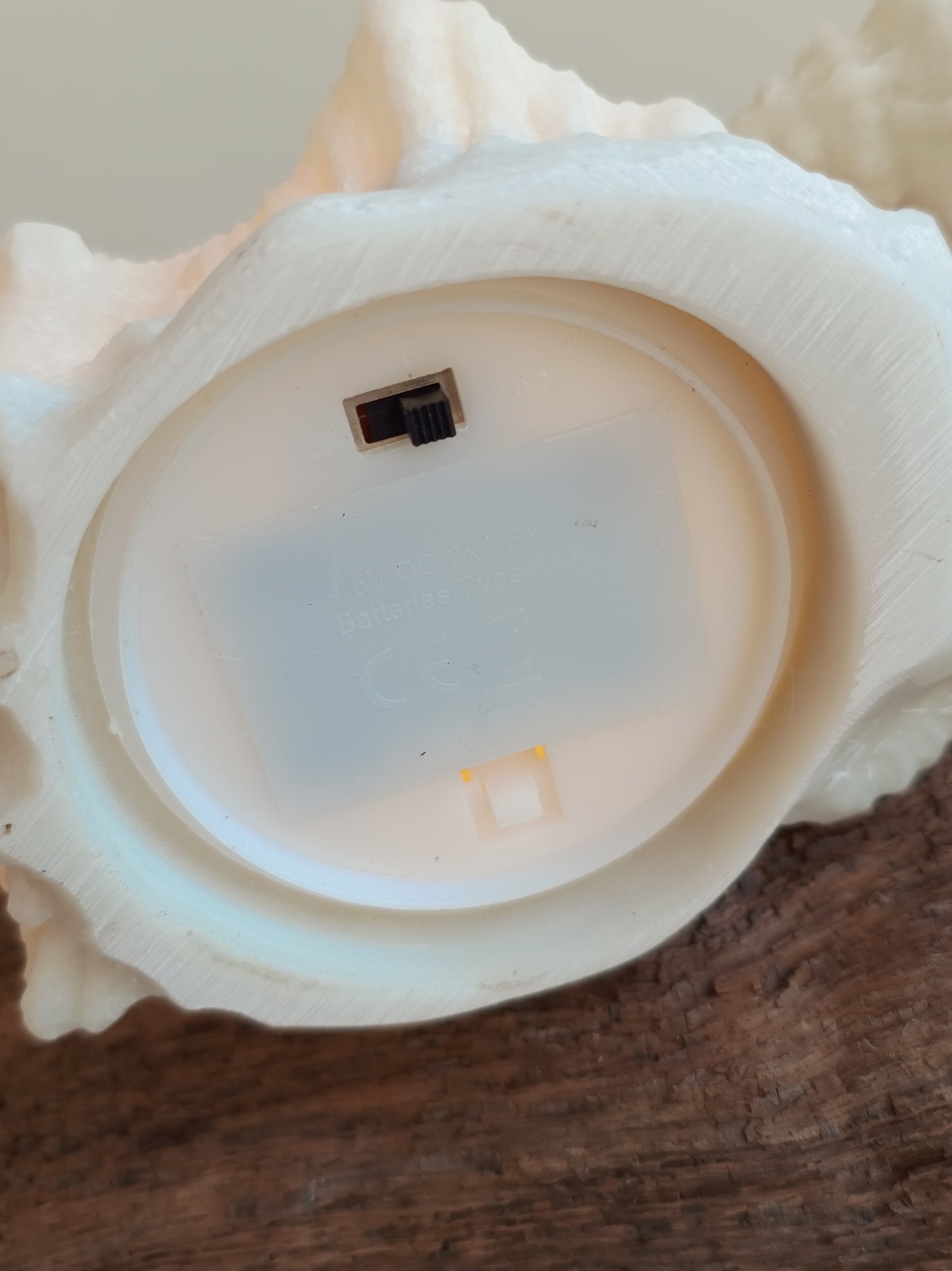 Muschel mit Beleuchtung von PTMD