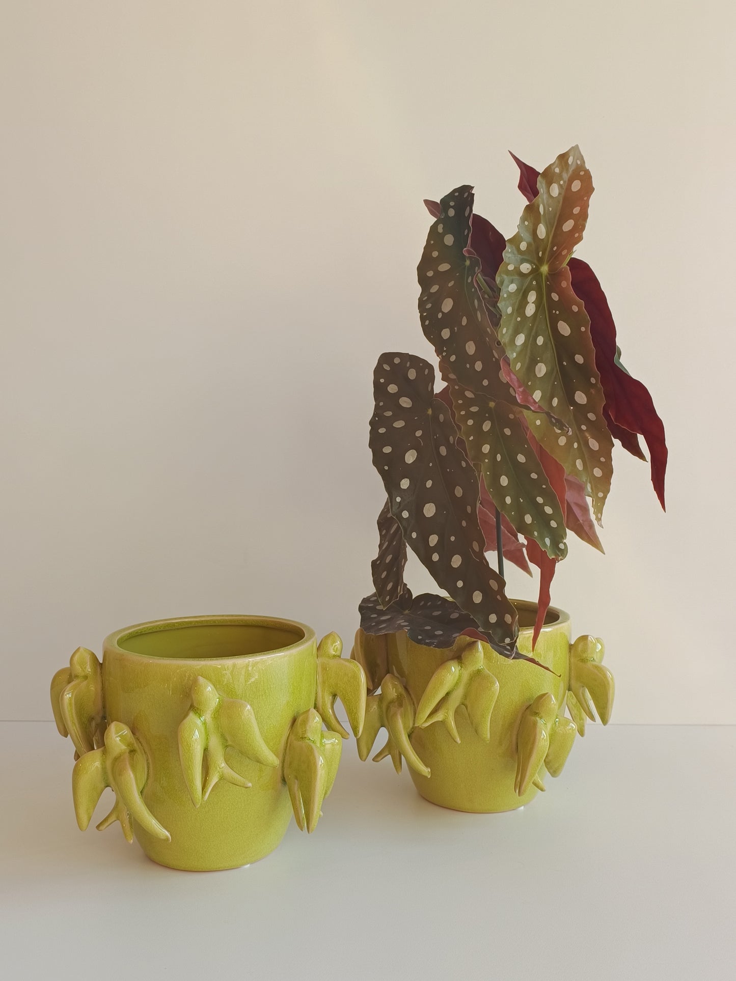 Übertopf "Emmelyn Green Birds" von PTMD