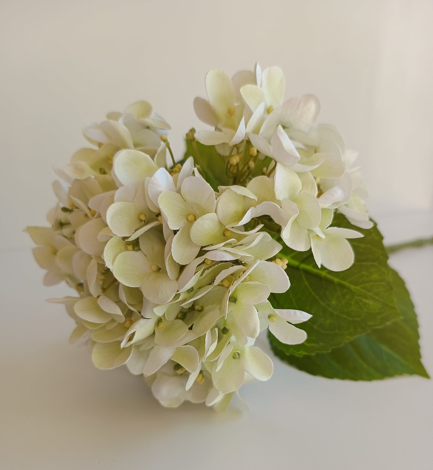 Hortensien Seidenblumen