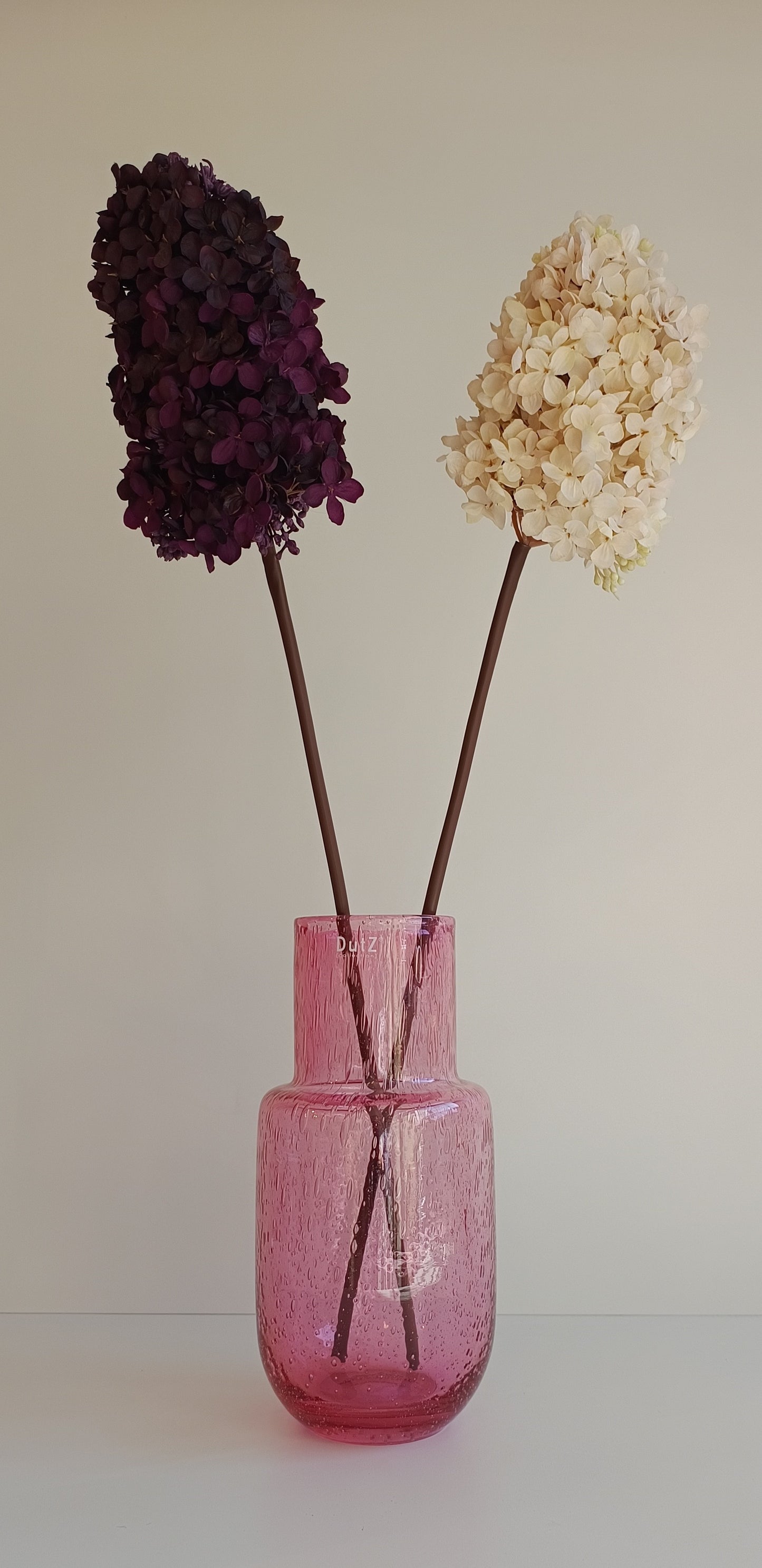 Rispenhortensie Seidenblume