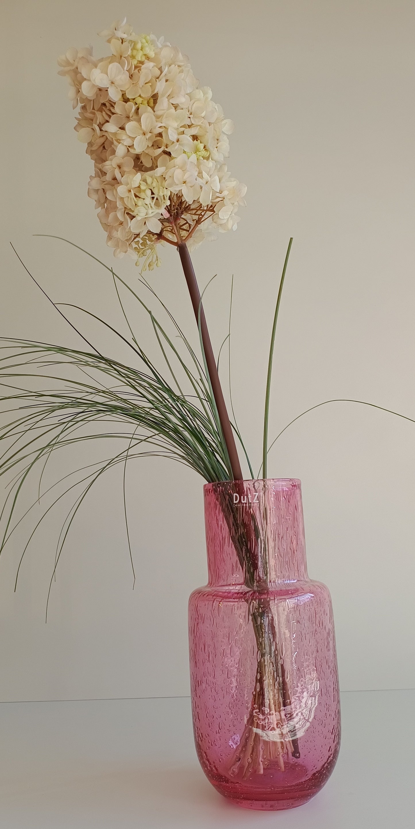 Rispenhortensie Seidenblume