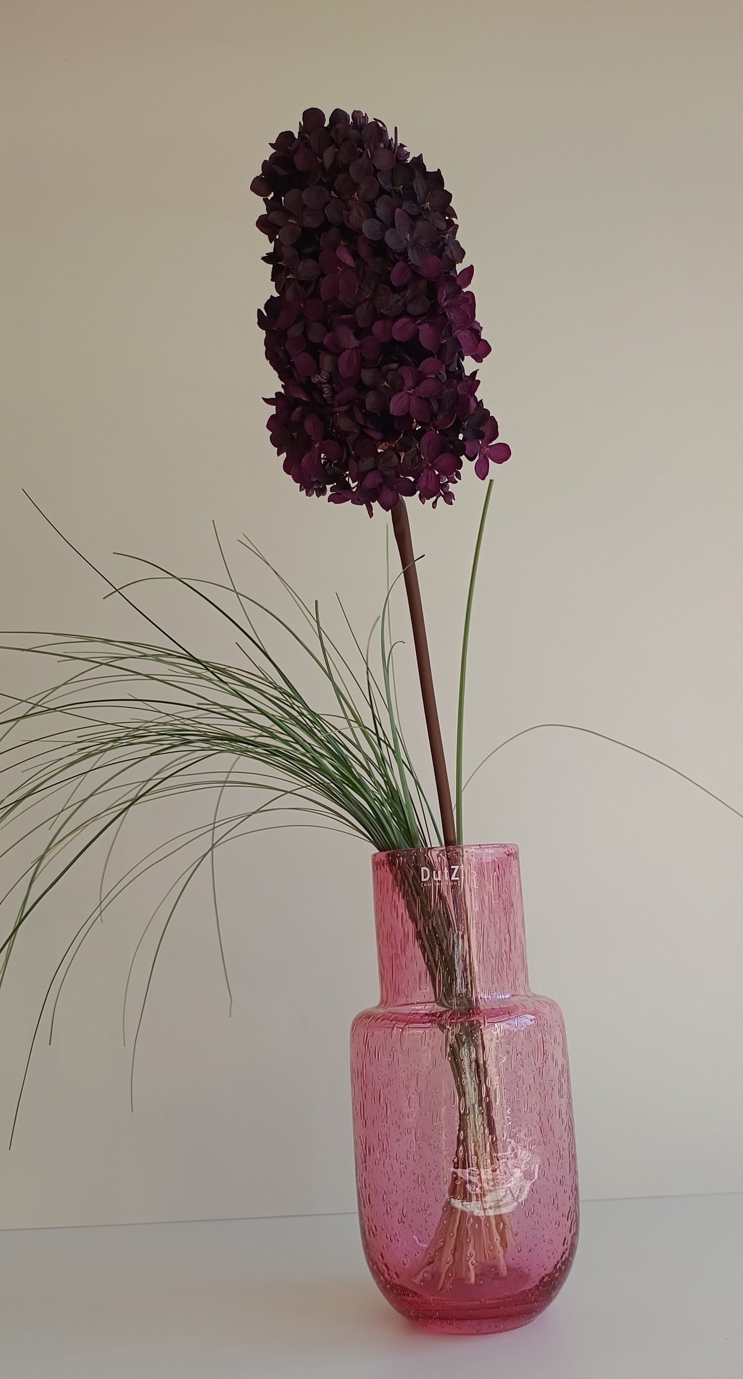 Rispenhortensie Seidenblume