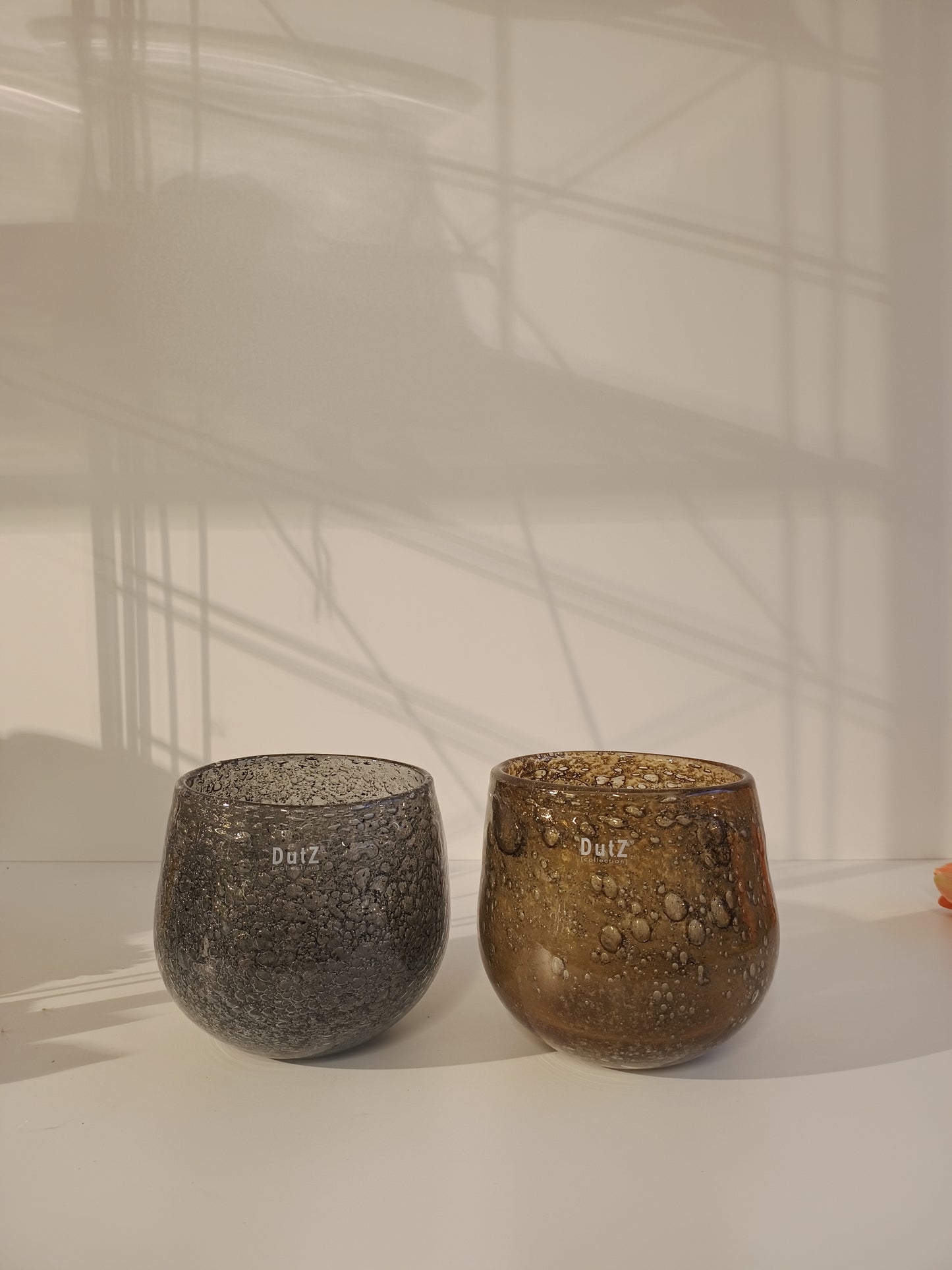 DutZ Hurricane Diva Olivegrey und Amber Bub