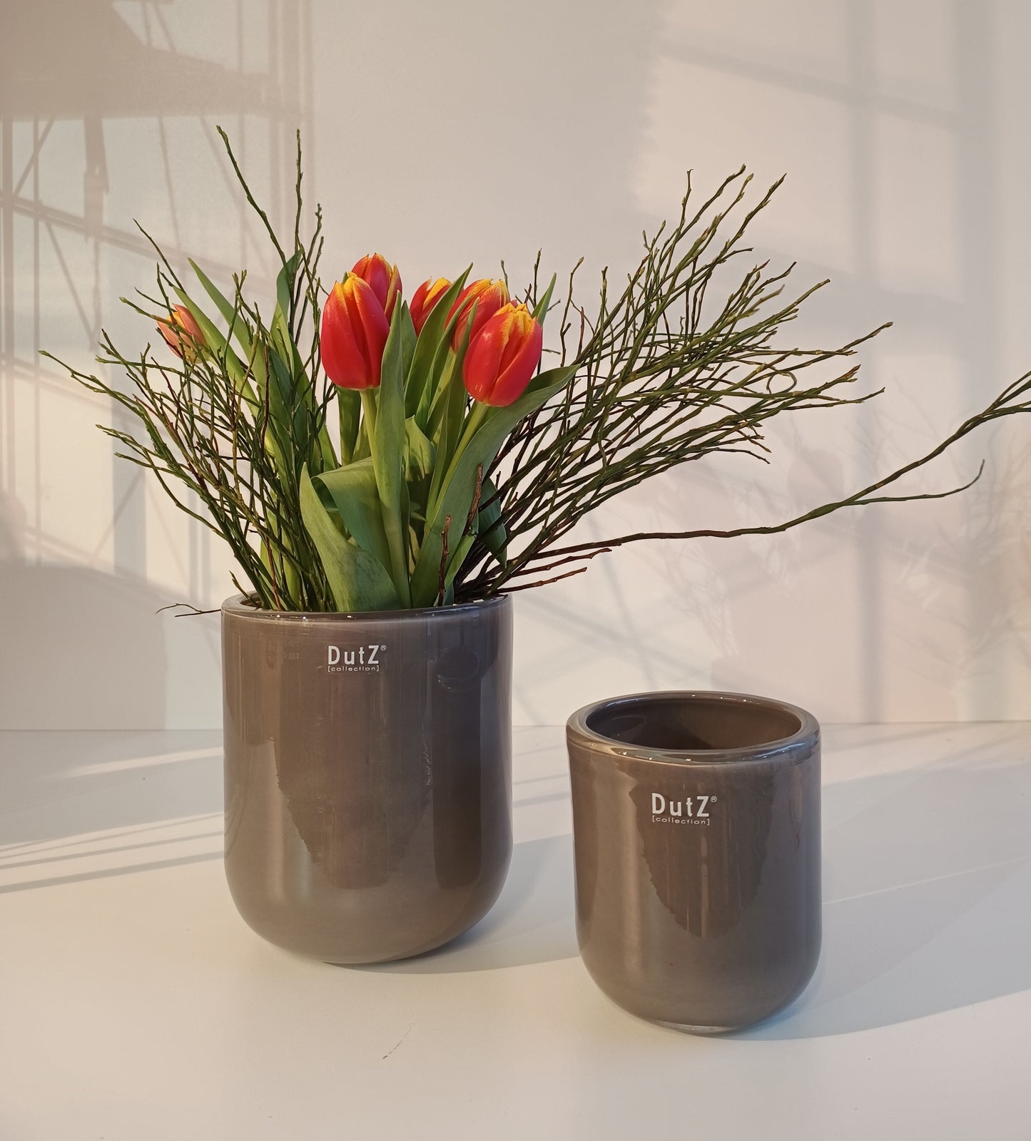 DutZ Pot Petra