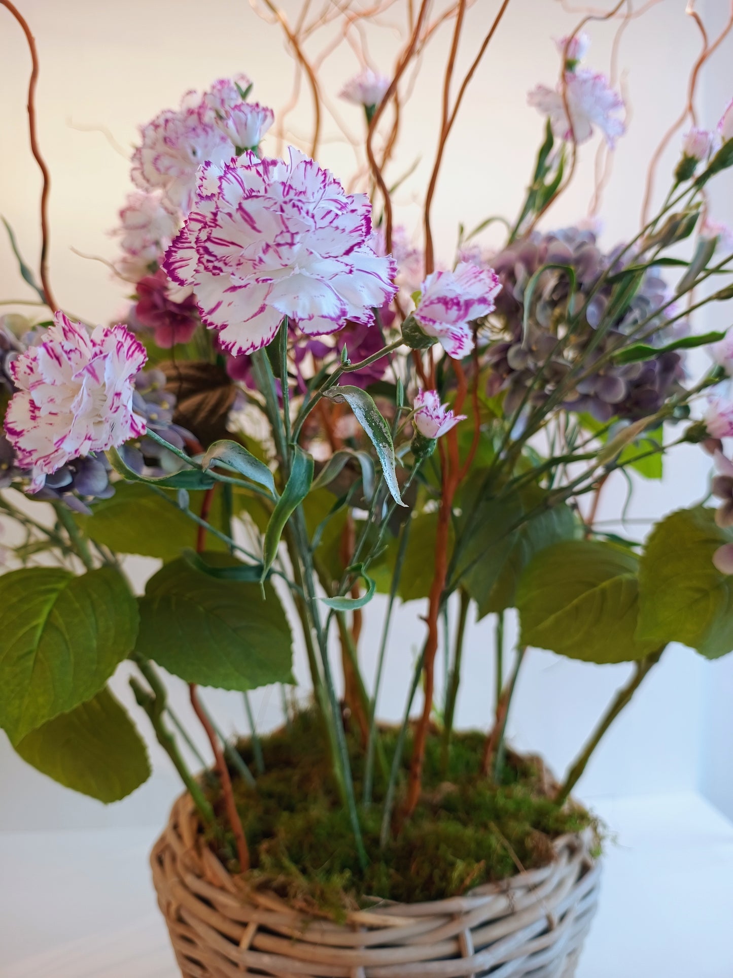 Nelke Seidenblumen