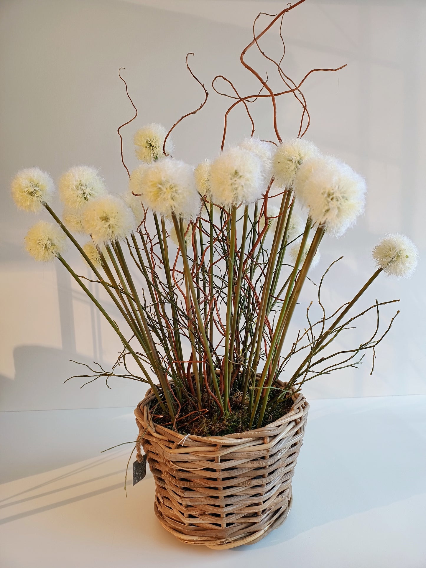 Pusteblume Seidenblumen