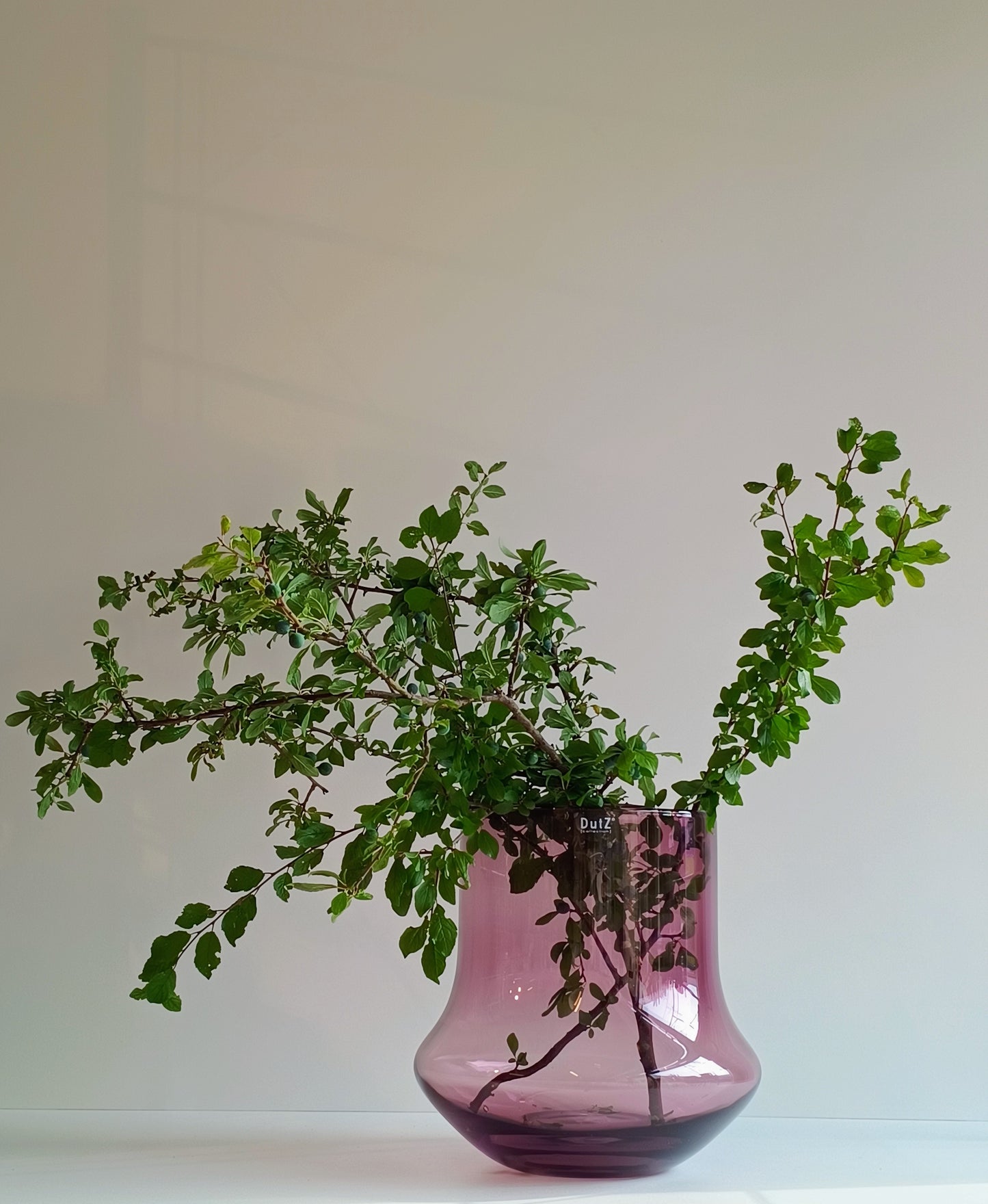 Dutz Vase Bara Aubergine Transparent