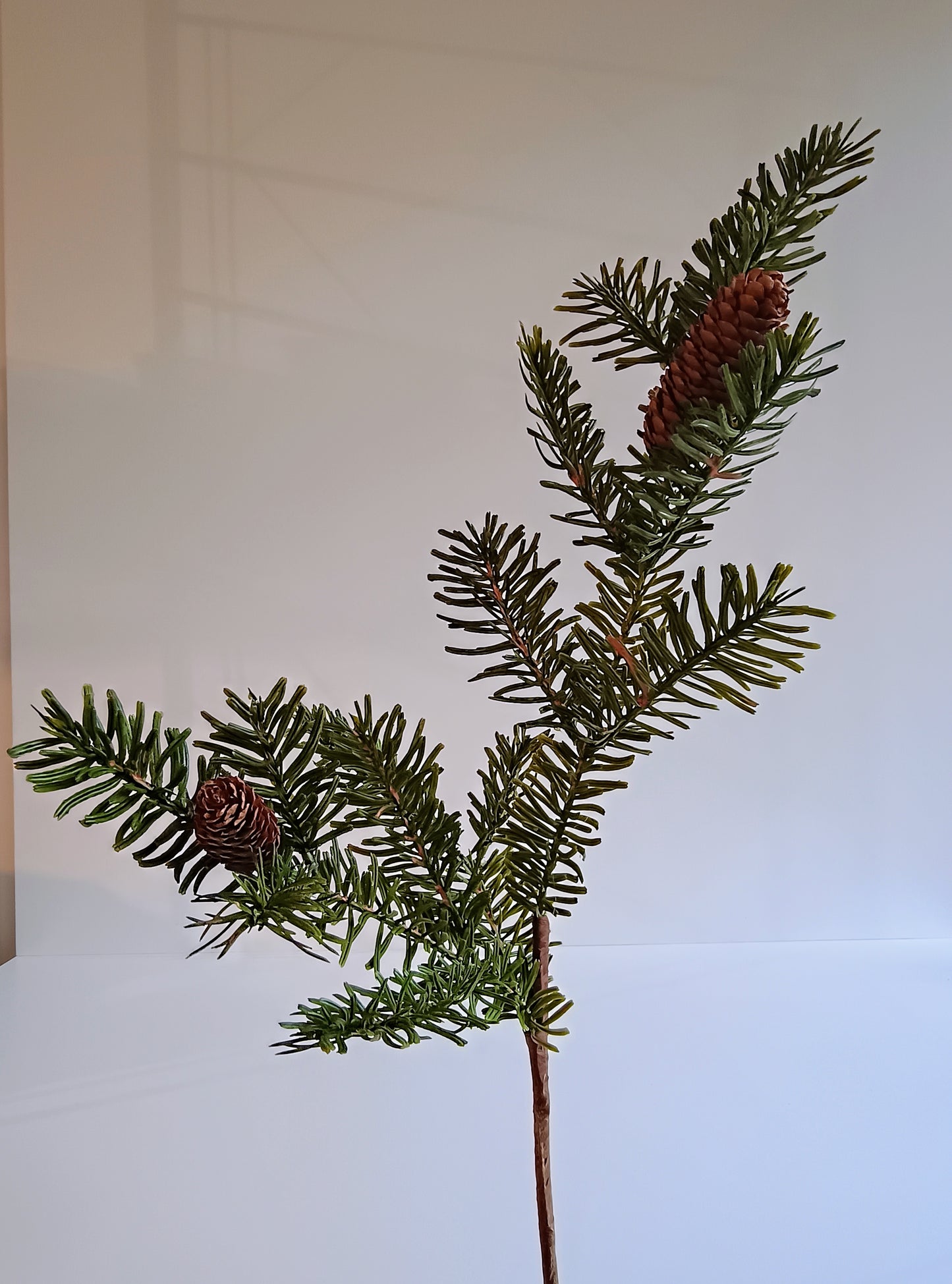 Tannenzweig mit Zapfen