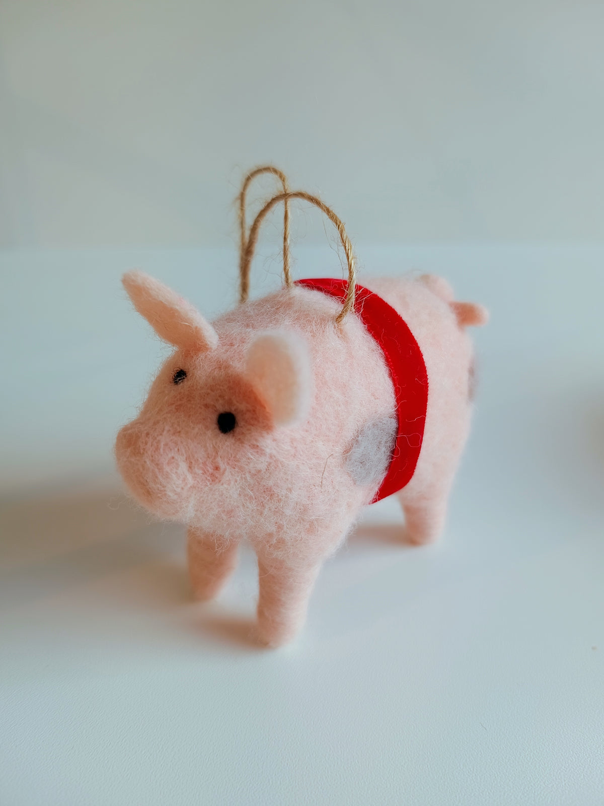 Kleines Schweinchen - großes Glück
