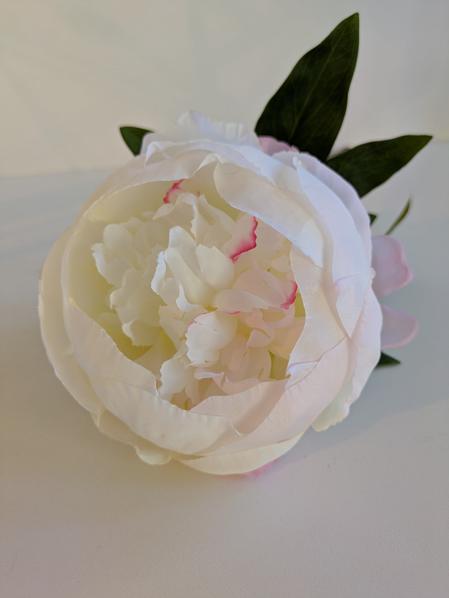 Pfingstrosen Seidenblumen