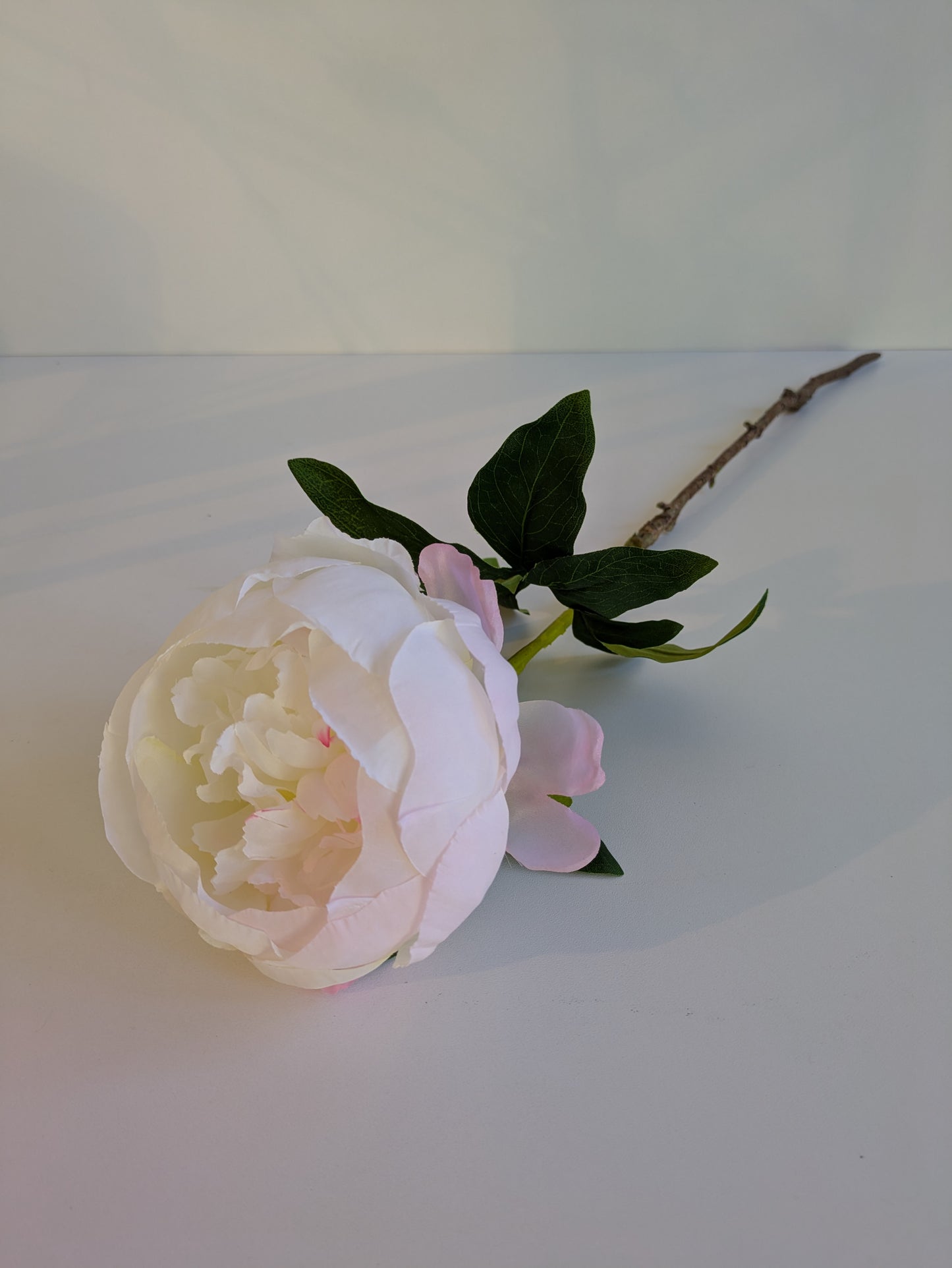 Pfingstrosen Seidenblumen