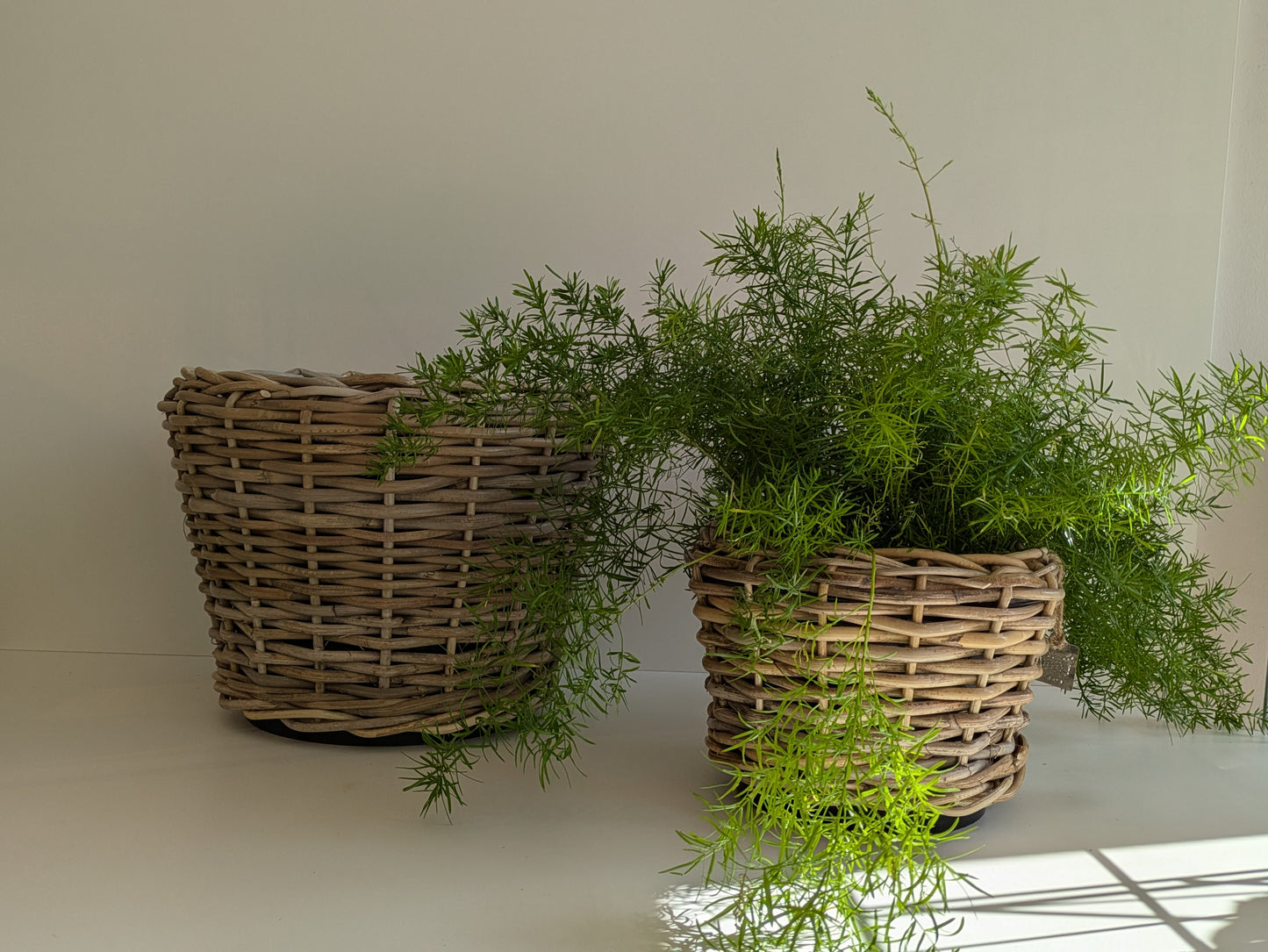 Körbe Rattan mit tollem Einsatz