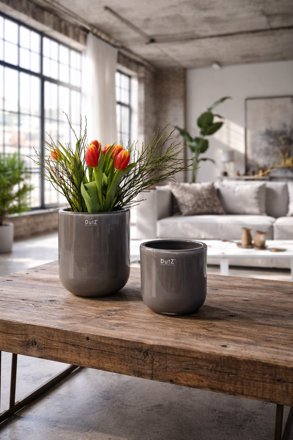 DutZ Pot Petra